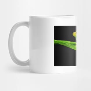 Frog Mug